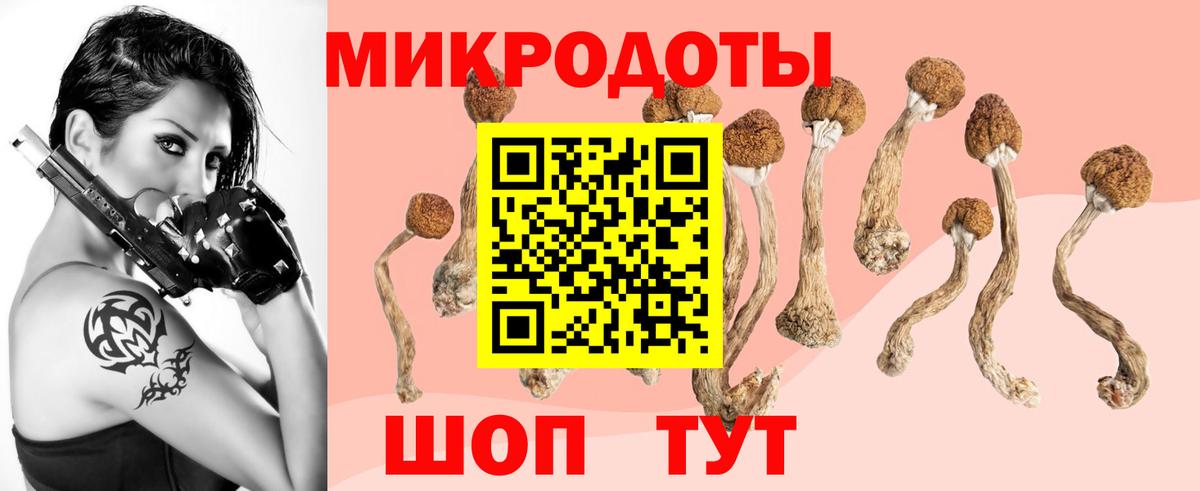 Галлюциногенные грибы Cubensis Якутск